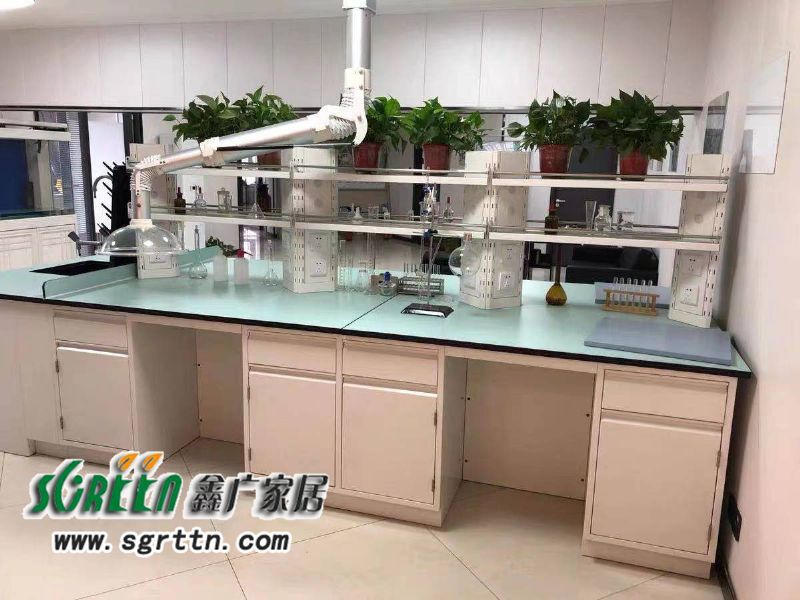 化驗室pp操作臺，實驗臺鋼木化學試驗桌，工作臺學校通風柜，全鋼試驗臺