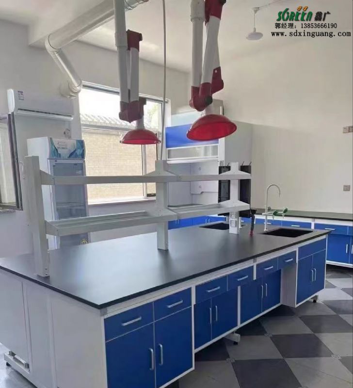 濰坊實(shí)驗(yàn)室家具萬(wàn)向罩PP吸氣罩抽氣罩