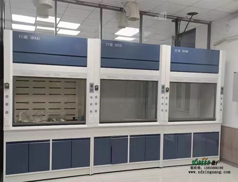山東實(shí)驗(yàn)室通風(fēng)柜耐酸堿全鋼通風(fēng)櫥生產(chǎn)廠(chǎng)家供應(yīng)