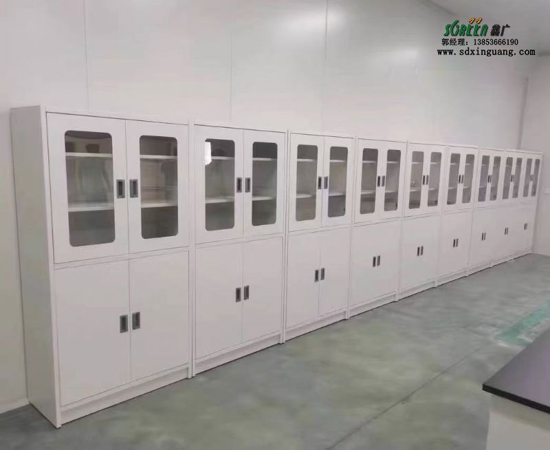 山東實(shí)驗(yàn)室試劑柜實(shí)驗(yàn)室器皿柜強(qiáng)酸堿儲(chǔ)存柜