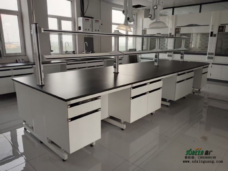 山東實(shí)驗(yàn)室鋼木實(shí)驗(yàn)臺(tái)廠(chǎng)家加工 鋼木試驗(yàn)臺(tái)邊臺(tái)