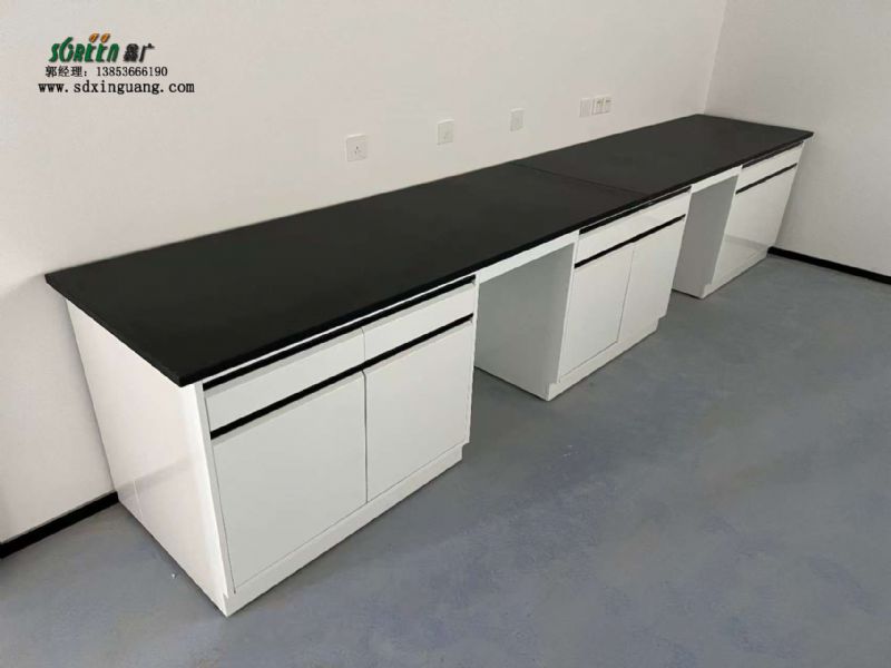 山東實(shí)驗(yàn)臺(tái)廠(chǎng)家 全鋼實(shí)驗(yàn)臺(tái) 實(shí)驗(yàn)室工作臺(tái)供應(yīng)