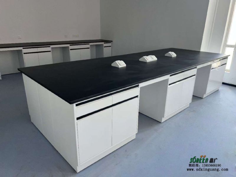 山東實(shí)驗(yàn)臺(tái)廠(chǎng)家全鋼pp鋼木實(shí)驗(yàn)室實(shí)驗(yàn)臺(tái)供應(yīng)