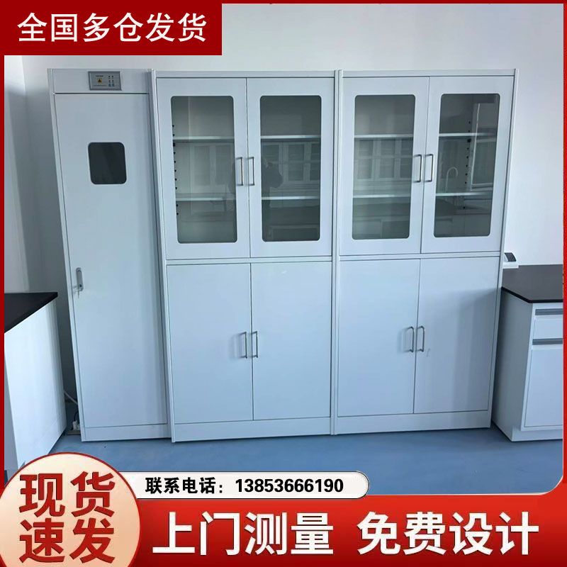 濰坊實驗臺廠家 全鋼試劑柜排風(fēng)柜 實驗室家具加工